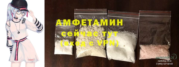 прущие грибы Заволжск