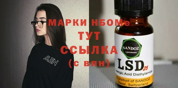 прущие грибы Заволжск
