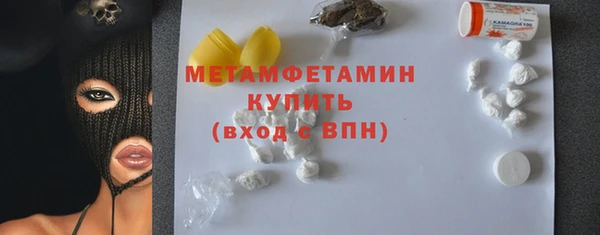 прущие грибы Заволжск