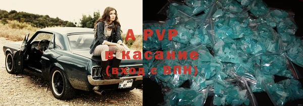 прущие грибы Заволжск