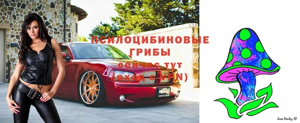 прущие грибы Заволжск
