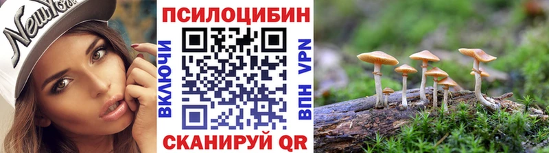 Купить закладки Салехард Галлюциногенные грибы Psilocybe